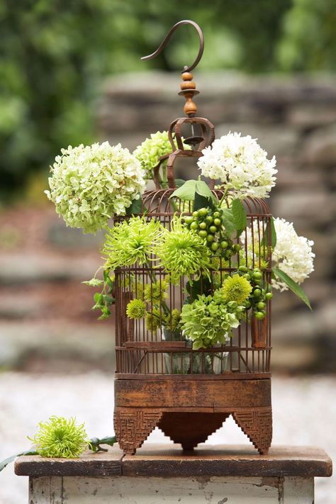 Bird Themed Wedding, Bird Cage Centerpiece, Deco Champetre, Flowers And Greenery, Vintage Bird Cage, Indoor Gardens, Wedding Garden, Unique Plants, Bird Cages