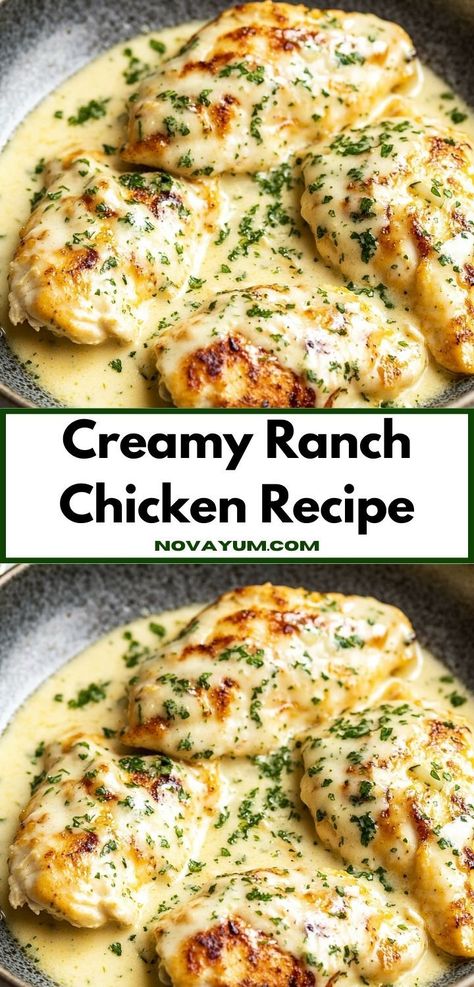 Need a crowd-pleasing dish for your next gathering? Discover the Creamy Ranch Chicken Recipe, a creamy, savory delight that’s not only simple to make but also guarantees a delicious meal for your loved ones. Easy Chicken Dishes For A Crowd, Creamy Chicken Gloria, Crockpot Creamy Ranch Chicken Recipes, Chicken Breast Ranch Recipes, Chicken Ranch Casserole Recipes, Creamy Chicken Dishes, Easy Chicken For A Crowd, Baked Ranch Chicken Recipes, Creamy Ranch Chicken Recipes