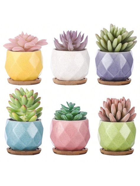 Charming Ceramic Pot--- Six ceramic succulent flower pots are charming and cute. Excellent color matching, make it looks gentle and clean. Lozenge surface design, produced by high quality and sturdy ceramics (baked in high temperatures), with excellent corrosion resistance and frost-resistance Widely Use--- These 6 decorative planter pots are perfect for showing your lovely plants such as succulents, air plants, cactus, ferns and more small plants. You can keep them on your balcony, office desk, Small Succulent Pots, Cactus Plant Pots, Planting Pot, Small Flower Pots, Ceramic Succulent, Bamboo Tray, Mini Plants, Ceramic Flower Pots, Small Succulents