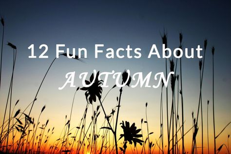 fun facts about autumn } fall Fun Facts About Fall, Fall Facts, Hey Monday, Leaves Changing Color, Fun Fact Friday, Unusual Facts, Infographic Illustration, Did You Know Facts, Facts For Kids