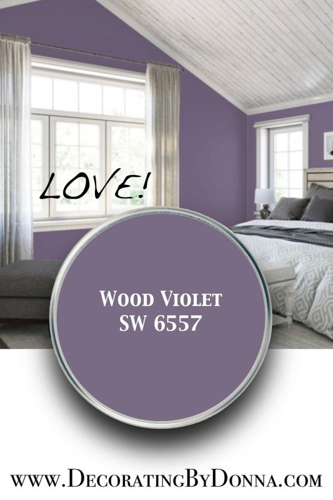 Royal Purple Paint Colors, Purple Gray Paint Behr, Purple Wall Office, Purple Room Paint Ideas, Boys Purple Bedroom, Purple Paint Bedroom, Purple Bedroom Paint Colors, Purple Adult Bedroom, Purple Painted Room