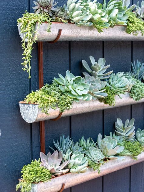 Succulent Wall Garden, Pot Gantung, Trailing Flowers, Tiered Planter, Wall Planters Indoor, Vertical Wall Planters, Succulent Garden Design, Vertical Planter, Succulent Garden Diy