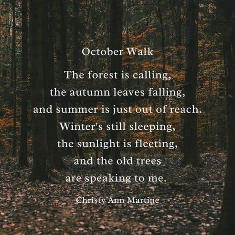 Christy Ann Martine, Autumn Poetry, Tree Poem, Autumn Poems, October Quotes, Commonplace Book, Autumn Magic, Old Trees, Autumn Quotes