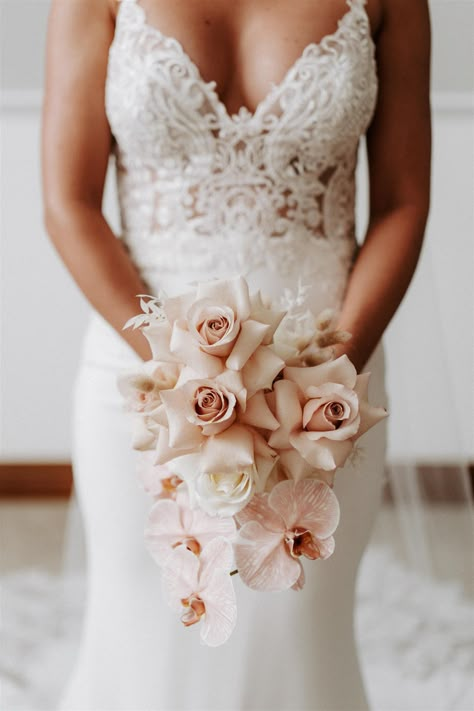 Samantha loves Damian | Maleny Wedding - The Bride's Tree Contemporary Bridal Bouquet, Neutral Pink Wedding, Chic Bridal Bouquet, Blush Pink Wedding Bouquet, Wedding Bouquet Champagne, Neutral Wedding Inspiration, Neutral Wedding Flowers, Cascading Wedding Bouquets, Bridal Bouquet Fall