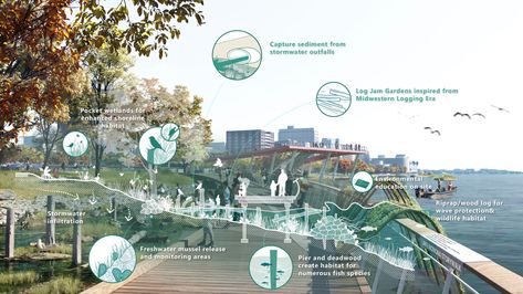 Lake Monona Waterfront Master Plan – Sasaki Waterfront Architecture, Planning Landscape, Landscape Architecture Graphics, Linear Park, Lake Garden, Section Drawing, Urban Landscape Design, Landscape Inspiration, Presentation Design Template