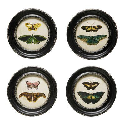 This graceful and lovely framed wall décor with vintage reproduction of moth and butterfly images will be a charming addition to your décor. It will be a gorgeous accent for a living room, bedroom, or office that effortlessly complements a wide range of design themes. | August Grove® 4 Piece Framed Wall Decor Set, Size 9.5 H x 9.5 W in | Wayfair | Home Decor Framed Butterfly Wall Art, Vintage Butterfly Print, Butterfly Images, Design Themes, Butterfly Wall Decor, Butterfly Wall Art, Creative Co Op, Butterfly Frame, Framed Wall Art Sets