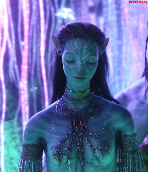 Zoe Saldana. Avatar Zoe Saldana Avatar, Neytiri Sully, Avatar Neytiri, Avatar Pfp, Neytiri Avatar, Avatar Theme, Avatar Poster, Avatar Way Of Water, Avatar James