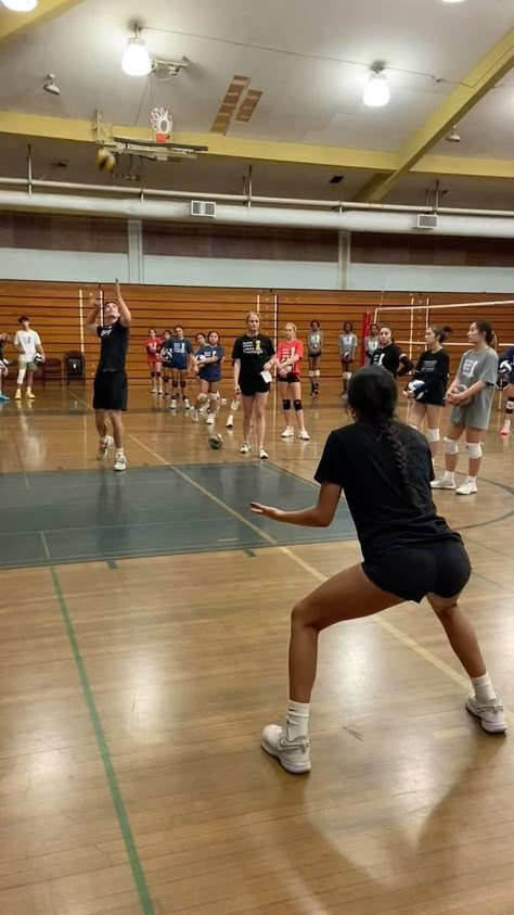 51K views · 3.1K reactions | NOR CAL CAMP DAY TWO STARTS NOW! 🏆 #SetterCollege #Volleyball | Volleyball Training | settercollegevb · Original audio Training Camp Aesthetic, Volleyball Middle Blocker, Volleyball Goals, Setter Volleyball, Volleyball Serve, Volleyball Motivation, Volleyball Tryouts, Volleyball Camp, Volleyball Girl