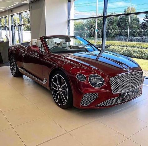 Convertible Bentley, Cars Bentley, Bentley Continental Gtc, Mansions Luxury, Bentley Continental, Luxury Eyewear, Luxury Car, Azerbaijan, Car Car