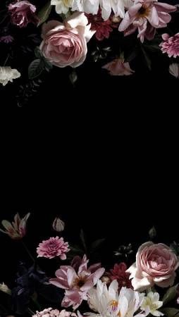 Background For Text, Vintage Wall Mural, Black Flowers Wallpaper, Black Floral Wallpaper, Flowers Black Background, Roses And Peonies, Floral Cards Design, Flowers Photography Wallpaper, Floral Wallpaper Phone