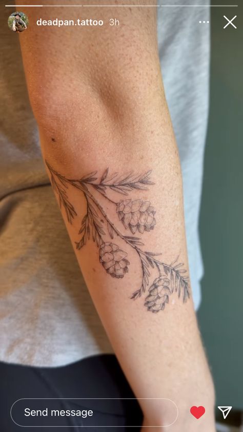 Hemlock Tattoo Trees, Redwood Leaf Tattoo, Park Ranger Tattoo, Balsam Fir Tattoo, Longleaf Pine Tattoo, Lodgepole Pine Tattoo, Jack Pine Tattoo, Pine Leaf Tattoo, Forest Themed Tattoos