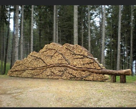 Stacking Firewood, Satisfying Photos, Lumber Storage, Firewood Logs, Wood Pile, Firewood Rack, Firewood Storage, Unique Woodworking, Land Art