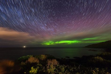 Where to See the Southern Lights (Aurora Australis): 8 Best Destinations - Frayed Passport South Georgia Island, Punta Arenas, Southern Lights, Aurora Australis, Shetland Islands, Long Term Travel, Light Pollution, Sustainable Travel, The Aurora