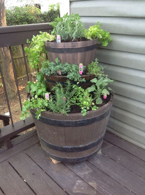 Multi Herb Planter, Raised Garden Beds Diy Vegetables, Tiered Planter, Barrel Planter, Backyard Plants, Herb Planters, Raised Garden Beds Diy, Wooden Barrel, Wine Barrel