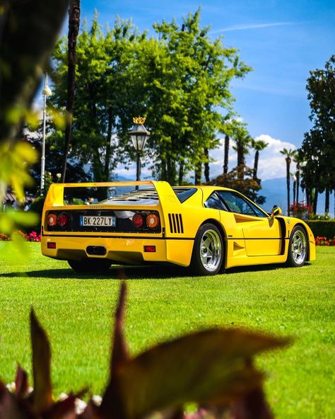 Nino | Certainly did not expect to stumble across the first yellow Ferrari F40 I’ve ever seen in the beautiful city of Stresa in Italy 🇮🇹 in very… | Instagram Ferrari Yellow, Yellow Ferrari, Ferrari 348, Classy Vintage, Cars Vintage, Ferrari F40, Car Drawings, Classic Cars Vintage, Beautiful City