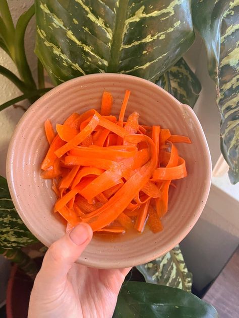 Raw Carrot Salad by Dr. Ray Peat - Can it really affect your hormones? - Unhurried Homemaker Dr Ray Peat, Tiktok Hooks, Raw Carrot Salad, Ray Peat, Gut Issues, Pickling Salt, Raw Carrots, Estrogen Dominance, Easy Side Dish