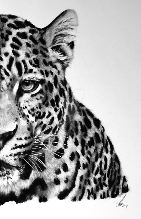 Leopard Drawing, Leopard Tattoos, Amur Leopard, Leopard Art, Creation Art, White Drawing, Most Beautiful Animals, Amazing Drawings, Animal Sketches