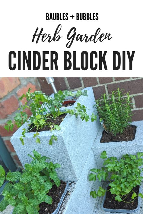 Cylinder Block Planter, Old Cinder Block Ideas, Cinder Blocks Garden, Cinder Block Herb Garden Ideas, Cinder Block Herb Garden, Center Block Garden Ideas, Cinder Block Garden Planters, Alley Garden, Poses For Two People