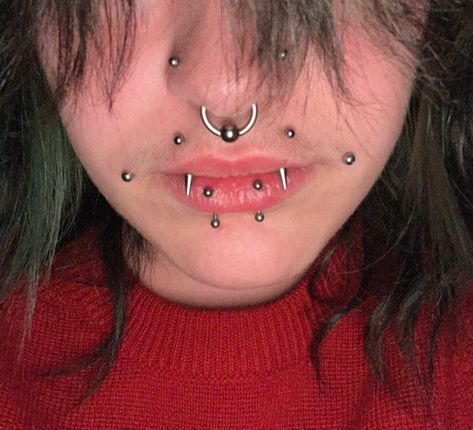 angel fangs piercing , vertical labret piercing, dahlia piercings, septum piercing Angle Fangs And Snake Bites, Snake Bites And Angel Bites, Shark Bites Piercing Rings, Vertical Snake Bites Piercing, Raccoon Bites Piercing, Angel Bites And Snake Bites, Vertical Angel Bites, Angel Fangs And Snake Bites, Angel Bites Piercing Fangs