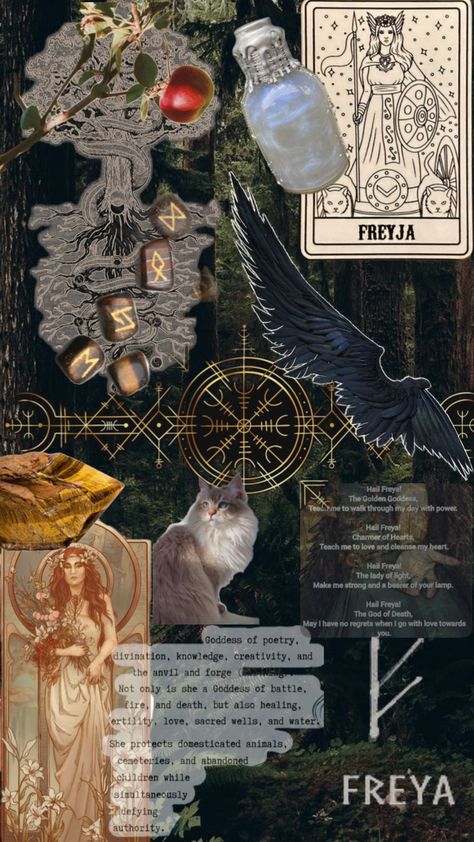 #Freya #goddess #nordic Freya Wallpaper Goddess, Nordic Aesthetic Wallpaper, Nordic Wallpaper Iphone, Freyja Aesthetic, Nordic Witchcraft, Frigga Goddess, Freya Core, Norse Mythology Goddesses, Erin Core