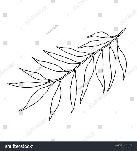 Palm Branch Drawing, Tropical Leaf Silhouette, Leaves Outline Drawing, Palm Tree Leaf Tattoo, Palm Branch Tattoo, Drawing Tropical Leaves, Palm Leaf Tattoo, Plant Stencil, Leaves Outline