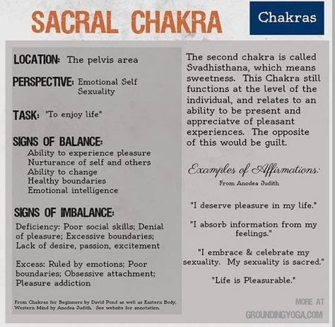 Grounding Yoga, Chakras For Beginners, Vishuddha Chakra, 2nd Chakra, Little Buddha, Levels Of Consciousness, Chakra Yoga, Chakra Meditation, Sacral Chakra