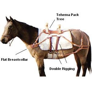 brown pack horse | Horse Packing Gear | Horse Camping Equipment Horse Camping Checklist, Horse First Aid Kit Checklist, American Frontiersman, Horse Packing Equipment, Horse Packing, Camping With Horses, Horse Equipment Western, Pack Saddle, Pack Animals