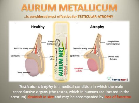 Tmj Relief, Prostate Health Men, Diets For Men, Homeopathy Remedies, Krishna Avatar, Homeopathy Medicine, Essential Oils Guide, Tea Health Benefits, Wellness Clinic