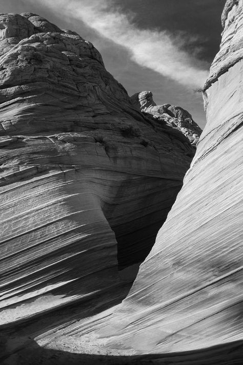 Desert Black And White, Monument Mythos, Desert Landscape Photography, Landscape Photography Trees, Playlist Pics, Landscape Black And White, Photography Eyes, Canyon Landscape, Landscape Desert