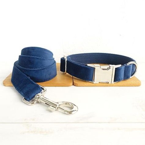 Velvet Dog Collar, Dog Collar And Leash, Blue Dog Collar, Engraved Dog Collar, Dog Collar Bows, Custom Dog Collars, Personalized Dog Collars, Two Fingers, Collar Leash