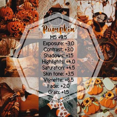 Fall Presets For Lightroom Free, Fall Vsco Filters, Autumn Filter, Fall Lightroom Presets, Fall Filter, Orange Filter, Vsco Edits, Vsco Themes, Best Vsco Filters