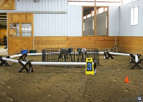 Working Equitation Obstacles, Western Equitation, Equine Property, Working Equitation, Rare Albino Animals, Safari Animal Wall Art, Western Pleasure Horses, Barrel Racing Saddles, Barrel Racing Tack