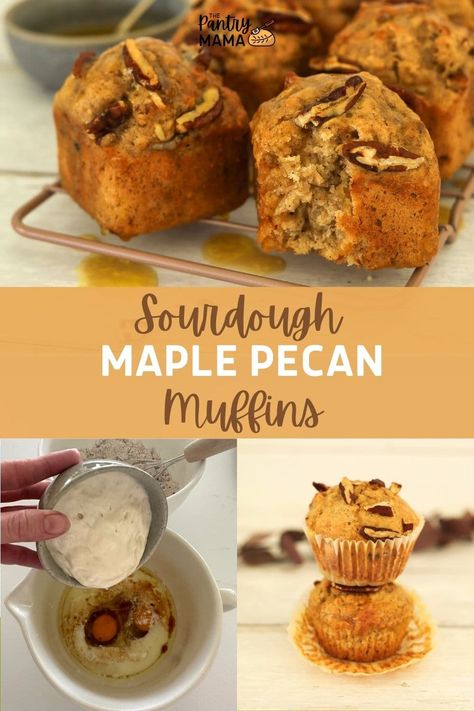 The Pantry Mama Sourdough Discard Bread, Sourdough Starter English Muffins, Sourdough Carrot Muffins, Sourdough Starter Muffins, Sourdough Discard Muffin Recipes, Sourdough Muffins Recipe, Sourdough Flavors, Maple Pecan Muffins, Sourdough Muffin