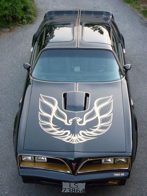 Pontiac Trans Am, Smokey And The Bandit, Pontiac Firebird Trans Am, Pontiac Cars, Firebird Trans Am, 1957 Chevrolet, Sweet Cars, Old Car, Cars Movie