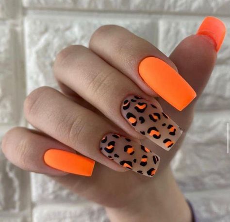 Leopard Print Nails Orange, Orange Nails Design Summer, Orange Animal Print Nails, Bright Leopard Print Nails, Orange Cheetah Nails, Cheetah Print Nails Fall, Orange Leopard Nails, Orange And White Nail Designs, Neon Orange Nails With Design