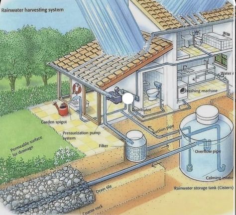 Septic Tank Design, Drain Tile, Rainwater Harvesting System, Water Collection, Rainwater Harvesting, Shower Tile Designs, Deck Furniture, Metal Art Diy, Diy Plans