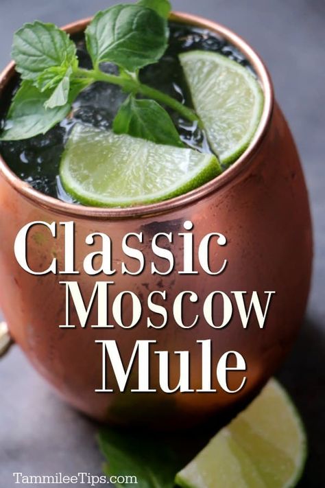 How to make the perfect classic Moscow Mule! This cocktail recipe is easy! Serve this classic cocktail in a copper mug and you are ready for a great party! The perfect combination of vodka, ginger beer, lime and mint. Ginger Beer Cocktail, Moscow Mule Cocktail, Vodka Lime, Moscow Mule Recipe, Copper Mug, Mule Cocktail, Cocktail Drinks Alcoholic, Mule Recipe, Boozy Drinks