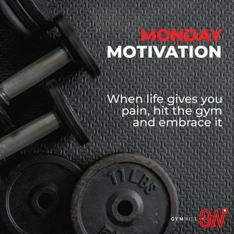 The start is important and so is keeping it up. Start your week and get fit! #mondaymotivation . . . . . #gymwise #Monday #fitnessmotivation #mondaymotivation #startyourweek #getfit #bodybuilding #gymmotivation #everydayfitness #everyworkoutcounts #gymwisefitnessplan #fitness #gym #workout #fit #motivation #healthylifestyle #gymlife #healthy #workout #motivation #goals #pain #workhard #gymroutine #gymfreak #gymlovers Monday Morning Gym Quotes, Monday Gym Quotes, Gym Campaign, Gym Posts, Gym Pics, Morning Gym, Monday Workout, Gym Quotes, Healthy Workout