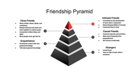 Stages of Friendship | Humans Levels Of Friendship, Friendship Articles, Professional Writing, Flirting Tips For Girls, Flirting Moves, New Friendship, Achieving Goals, Flirting Humor, Quote Cards