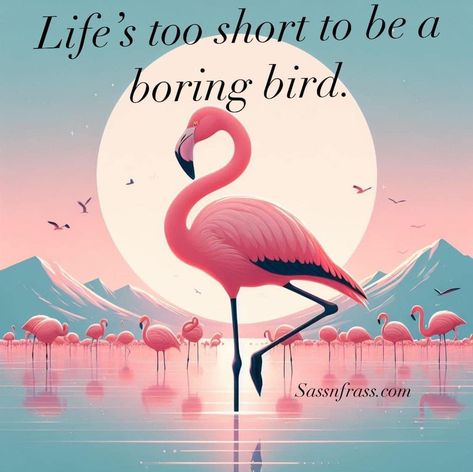 Flamingo Quotes, Flamingo Facts, Morning Questions, Flamingos Quote, Flamingo Stuff, Flamingo Pictures, 60s Party, Flamingo Theme, Flamingo Beach