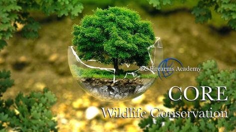 CORE Hunter Education Study Guide & Course - BC Firearms Academy Sumber Daya Alam, Environmental Scientist, Environmental Pollution, Environment Day, World Environment Day, Nature Conservation, Healthy Environment, Natural Environment, Simple Tricks