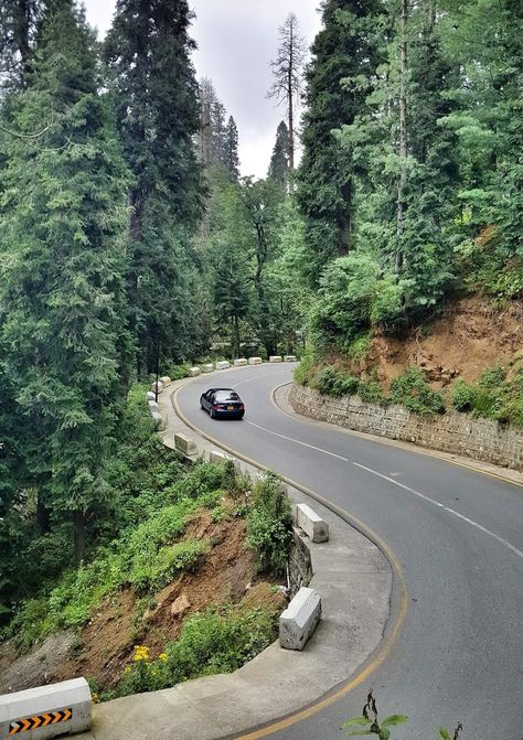 Nathia Gali Pakistan, Explore Pakistan, Nathia Gali, North Pakistan, Khyber Pakhtunkhwa, Hill Station, Mountain Resort, Full Screen, Pakistan