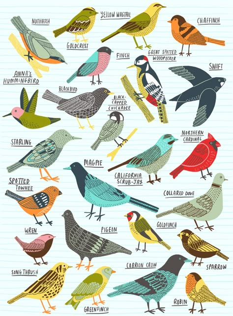 Birds of Portland | Domestika Reflect On Your Day, Improve Your Drawing Skills, Improve Your Drawing, Craft Photography, Drawing Prompts, Express Your Feelings, Life Journal, Your Drawing, Animation Design