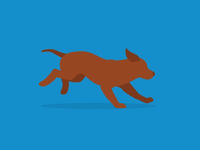 Endless Dog Run Cycle. Dog Running Animation, Dog Run Cycle, Animal Icon Design, Rigging Animation, Jump Animation, Running Illustration, Dog Run, Dog Running, Vector Animation