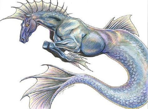 Hippocampus | What mythical creature protects you? - Quiz Kelpie Art, Seahorse Logo, Water Horse, Bike Decals, Magical Horses, Fantasy Horses, Mythical Animal, Fantasy Beasts, Desenho Tattoo