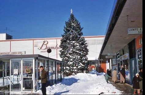 The Garden State Plaza, Paramus, NJ Christmas 1960’s 🎄🎅🏻🎄 Mall Architecture, Garden State Plaza, Bergen County New Jersey, Retro Signs, Paterson Nj, Vintage Mall, Spruce Christmas Tree, Vintage Stores, Bergen County