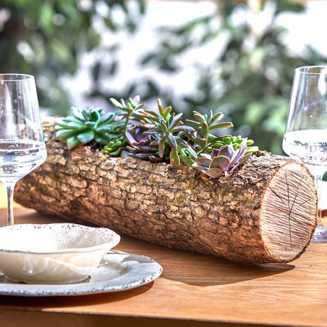 How to Make a Wood Log Planter With Succulents (DIY) | Family Handyman Wooden Succulent Planter, Inexpensive Landscaping, Wood Succulent Planter, Log Planter, Succulent Planter Diy, Planter Project, Succulent Landscaping, Wooden Log, Into The Wood