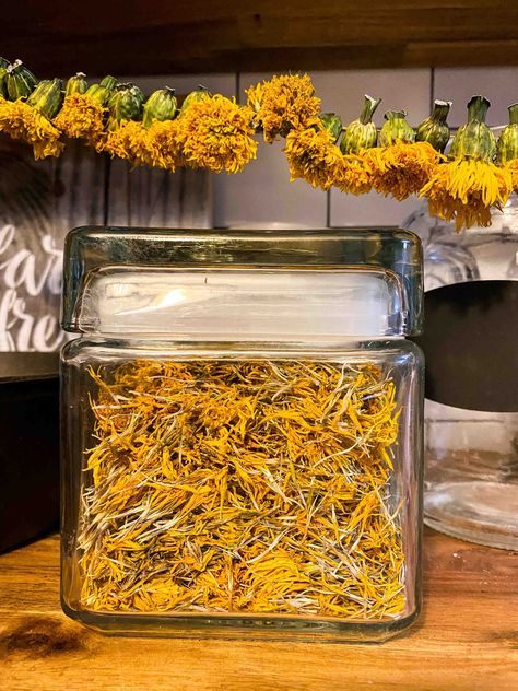 Calendula Tea Benefits & Recipe (+17 Other Ways to Use Calendula) Calendula Recipes Food, Benefits Of Calendula Tea, Calendula Flower Magical Properties, Calendula Herb Magic, Calendula Tea, Throat Spray, Calendula Extract, Calendula Flower, Food Matters