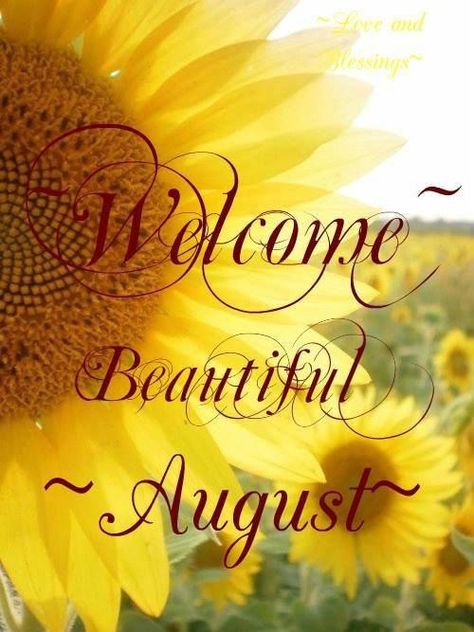 August Month Quotes, Welcome August Quotes, Hello August Images, August Pictures, August Images, Neuer Monat, New Month Wishes, Welcome August, August Quotes