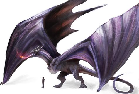 Hotd Dragons, Dragon Anatomy, Got Dragons, Beast Creature, Dragon Artwork Fantasy, Asoiaf Art, Purple Dragon, Dragon Sketch, Httyd Dragons